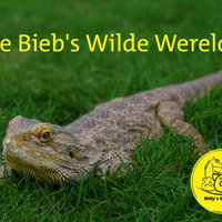 Avontuurtje: de Bieb's Wilde Wereld!