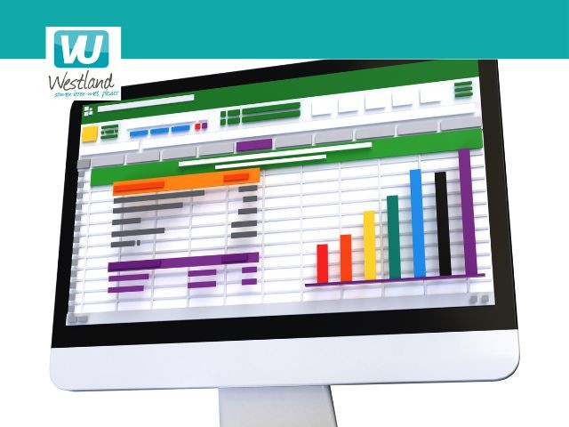 Workshop: Excel draaitabellen en grafieken