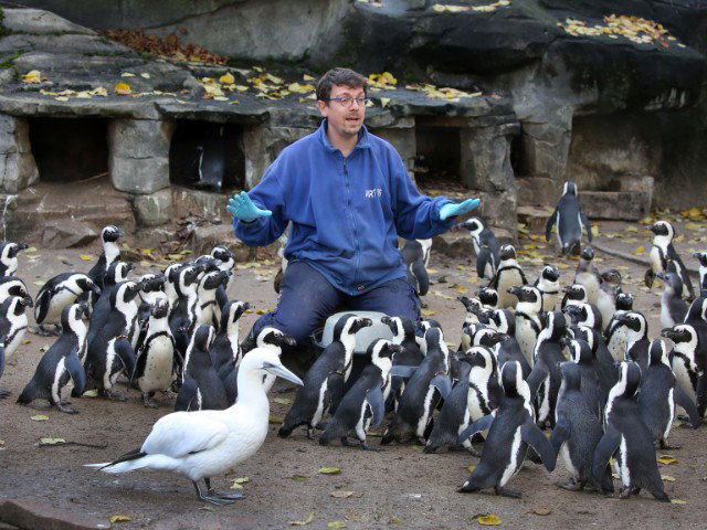 Kinderboekenweek & Dierendag: op avontuur in de dierentuin met Job van ARTIS