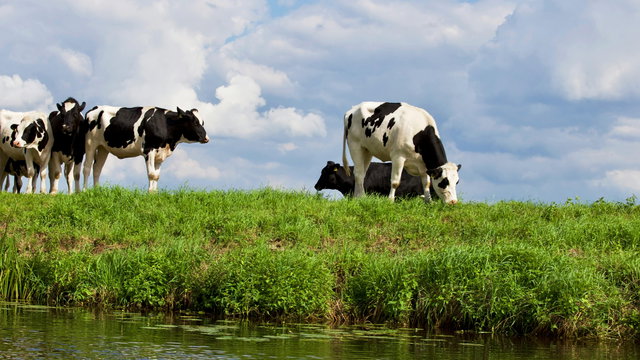 Familiedag bij Boerderij De Vooruitgang