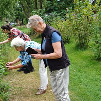 De hort op met de Bibliotheek en De Ossenbeemd