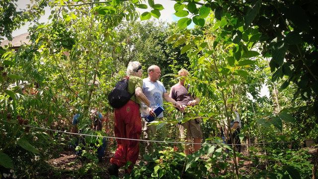 Proeftuin On Tour: Rondleiding Eetbaar Irenebos