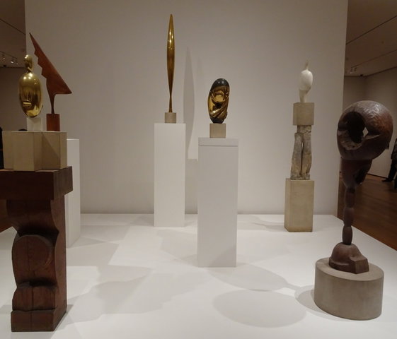 Kunstlezing Constantin Brâncuşi