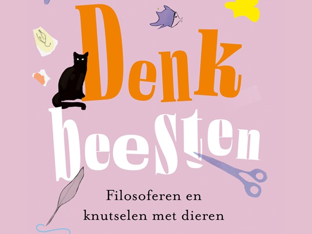 Knappe koppen: Ben jij een sloddervos of angsthaas?