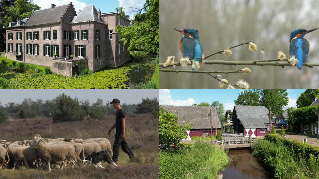 Documentaire: De Kleine Dommel