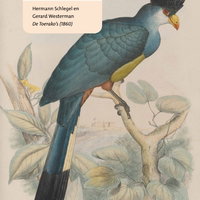 Expositie: De ontdekking van de natuur