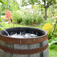 BiebTalk - De Levende Tuin