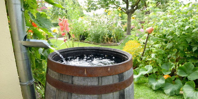 BiebTalk - De Levende Tuin