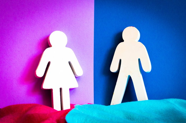 Lezing: Gender, Natuurlijk!