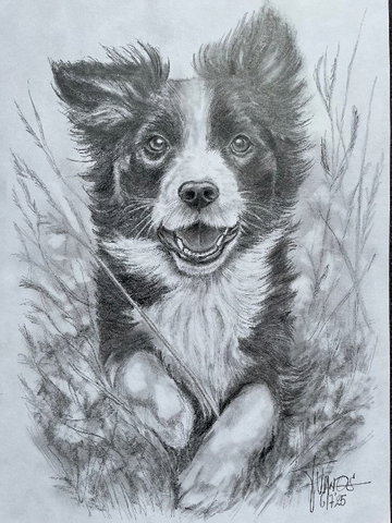Expositie Frits van Os