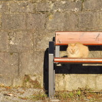 Filosofisch Café 05-06-2026 19:30
