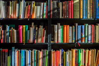 Themabijeenkomst 'Burgerschap en Jeugdliteratuur in de klas'