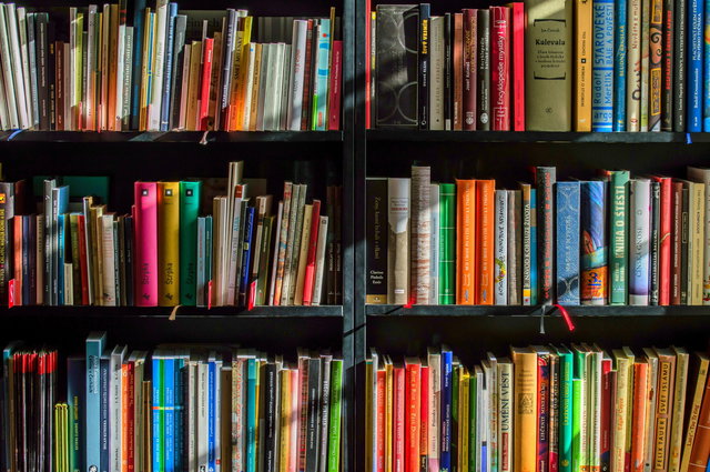 Themabijeenkomst 'Burgerschap en Jeugdliteratuur in de klas'