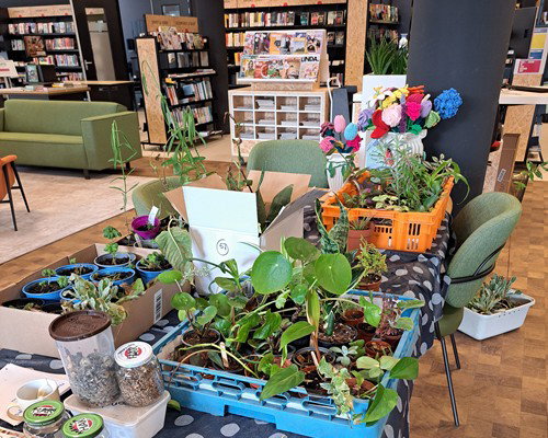 Groene Ruilmarkt voor planten, stekjes en zaden
