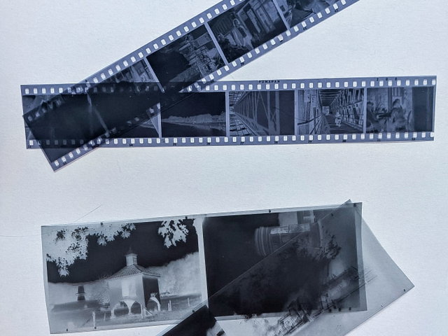Workshop: Ontdek de magie van cyanotype