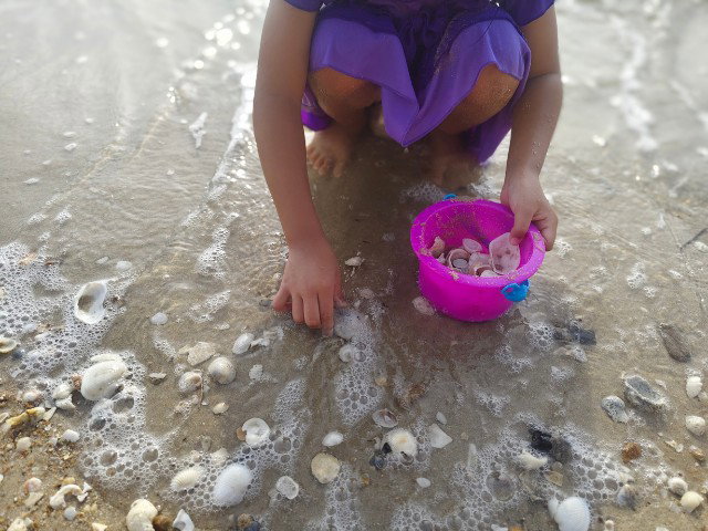 Mad Science | Zand en Zee