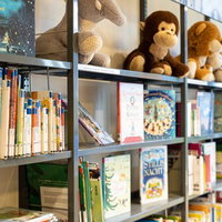 Adviesgesprek collectie en leesomgeving