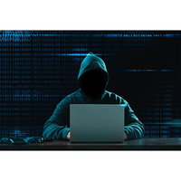 Trap er niet in! - online oplichting