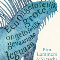 Ontdek de magie van illustreren - workshop voor leerlingen door Natascha Stenvert