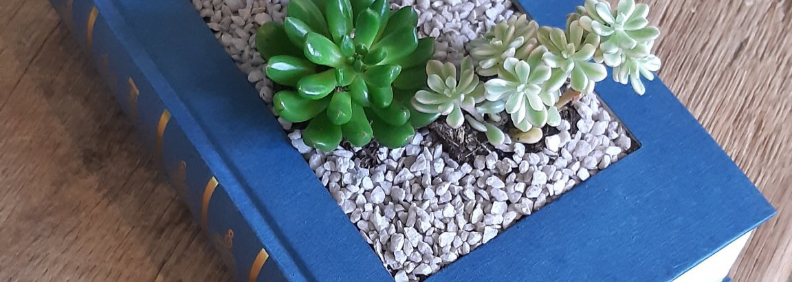 Workshop: Van boek tot bloempot