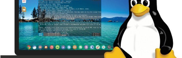 Linux: ontdek het alternatief voor Windows en macOS