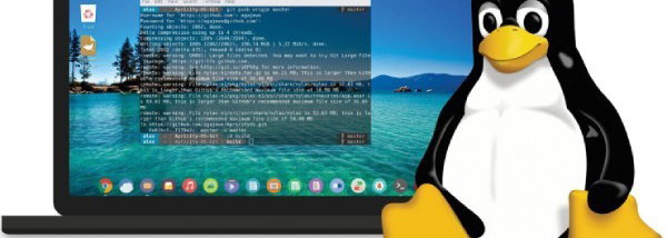 Linux: ontdek het alternatief voor Windows en macOS