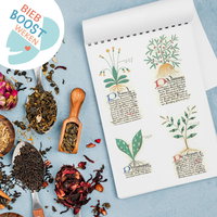 Workshop: Kruiden voor gezondheid, schoonheid en in de keuken