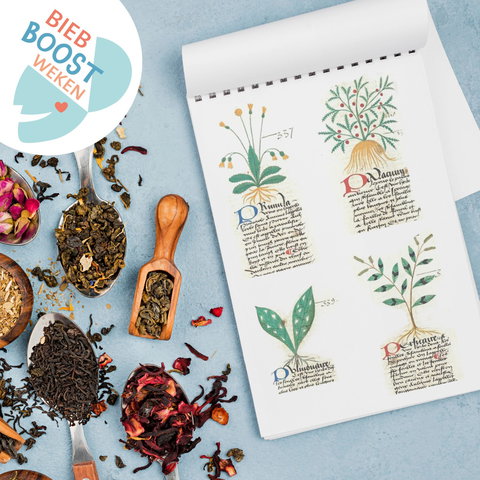Workshop: Kruiden voor gezondheid, schoonheid en in de keuken
