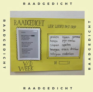 Raadgedichten