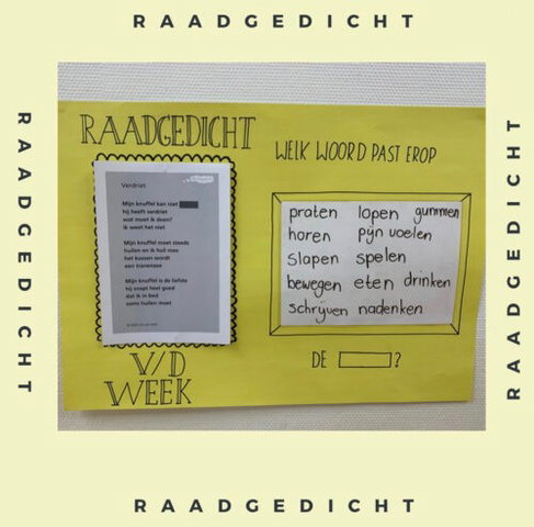 Raadgedichten