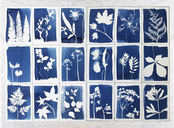 Workshop Maak je eigen blauwdruk