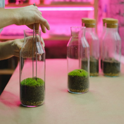 Bosavontuur: Bouw je eigen terrarium (7+)