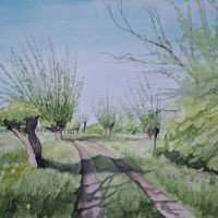 Expositie "Het Ossermeer, revisited"