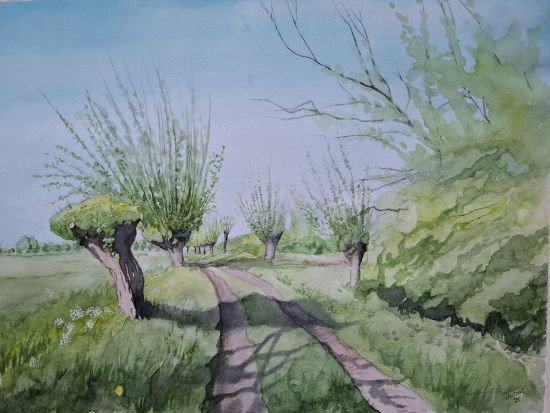Expositie "Het Ossermeer, revisited"