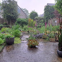 lezing: 12 maanden tuinplezier