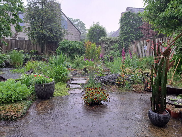 lezing: 12 maanden tuinplezier