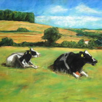 Expositie | De pracht van de natuur