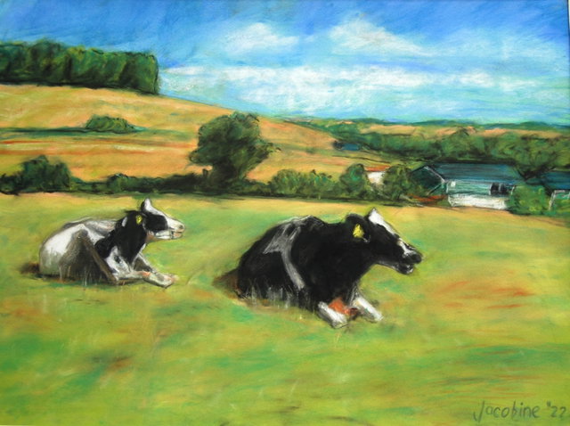 Expositie | De pracht van de natuur