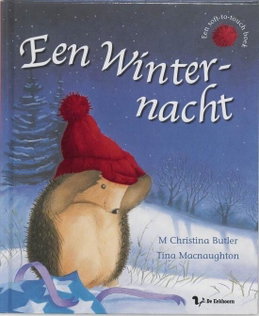 Een winternacht