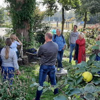 Groene Loper - Snoepen in je straat