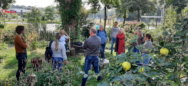 Groene Loper - Snoepen in je straat