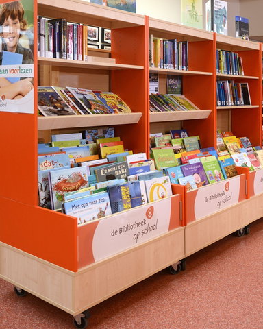 De Bibliotheek op school