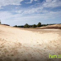 IVN Lezing over de Maasduinen