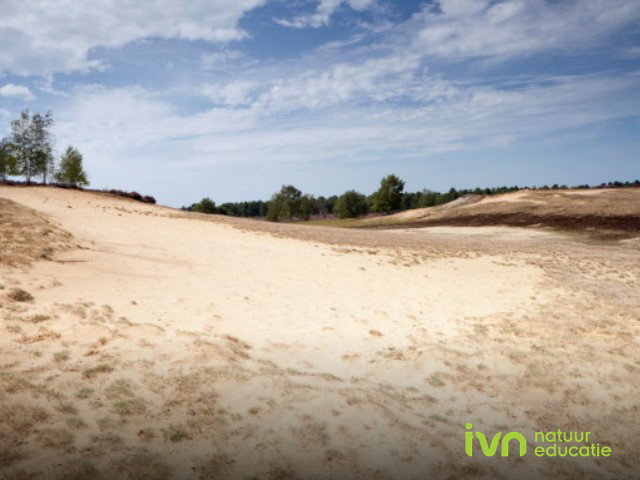 IVN Lezing over de Maasduinen