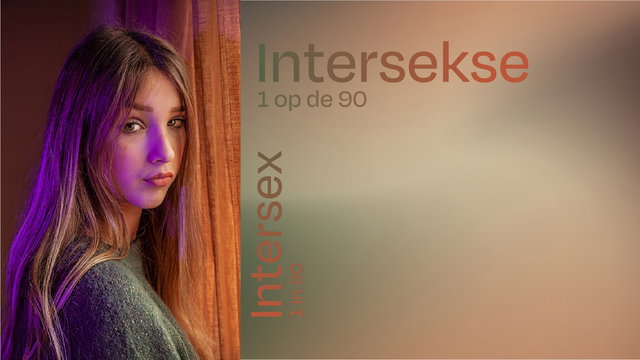 Expositie 1 op de 90