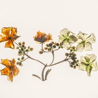 BiebLab - Natuurkunstwerken maken