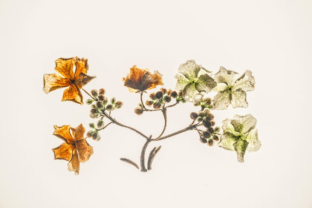 BiebLab - Natuurkunstwerken maken