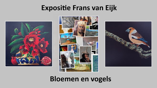 Expositie Frans van Eijk met acryl schilderijen van vogels en bloemen