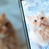 Workshop Mooie foto's maken met je smartphone (Let op: verplaatst naar 21 september!)