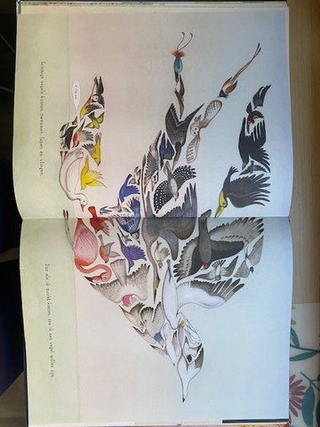 Boekenproject Ik wou dat ik een vogel was